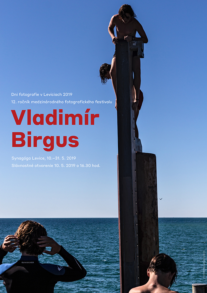 levice-plakat-vladimir-birgus